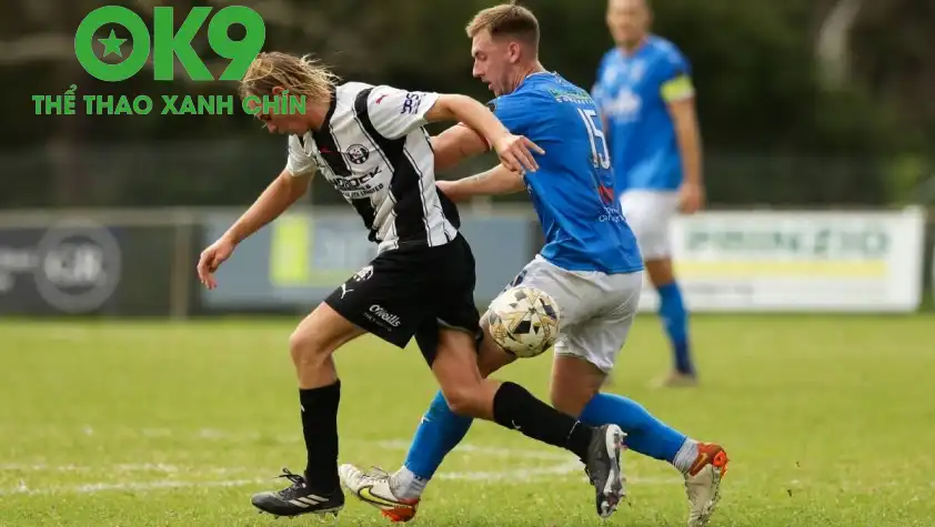 Weston Bears gần như nắm chắc phần thắng trong tay (Ảnh: X Weston Bears). Weston Bears gần như nắm chắc phần thắng trong tay (Ảnh: X Weston Bears).